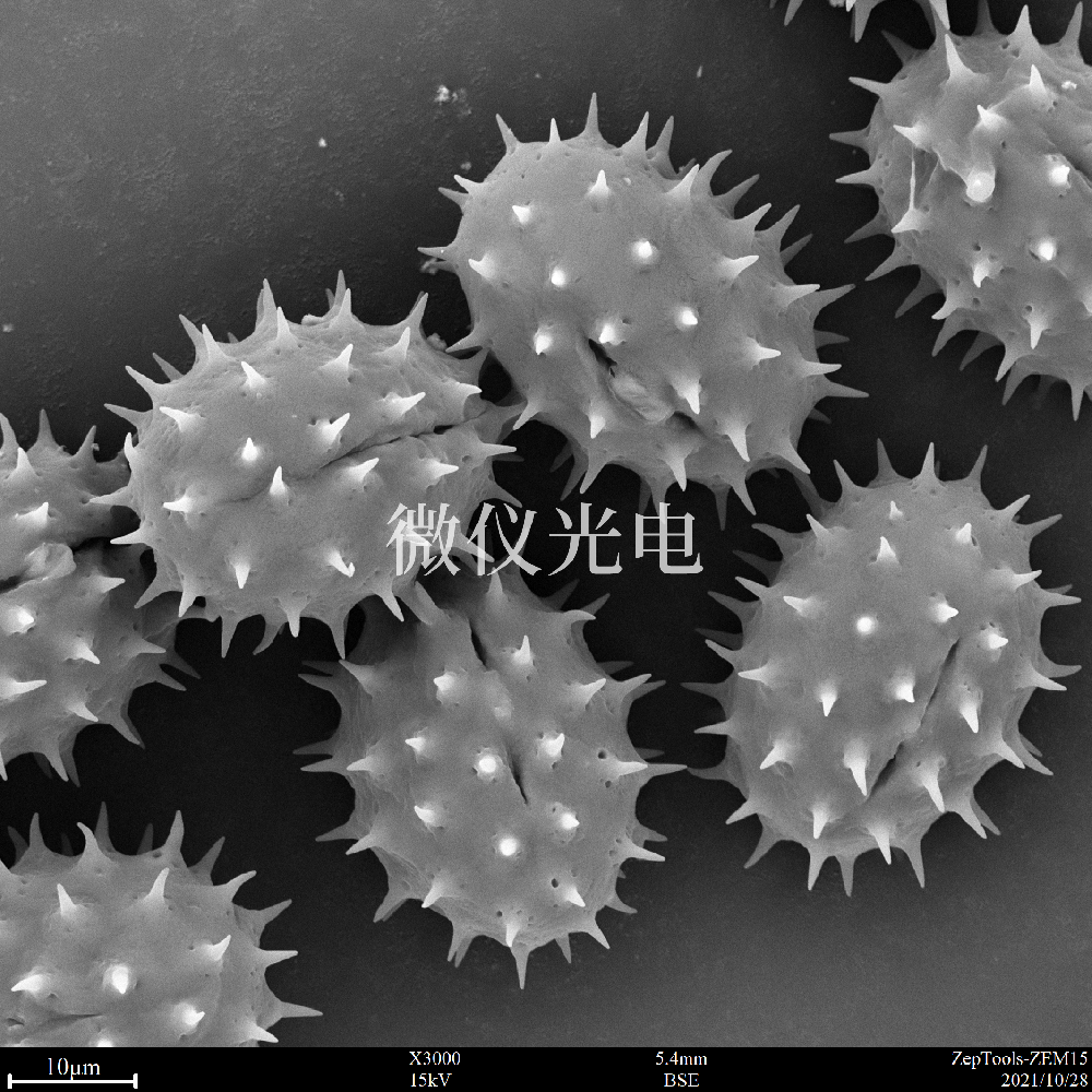 sem掃描電鏡的原理、組成、基本參數(shù)和應(yīng)用的介紹